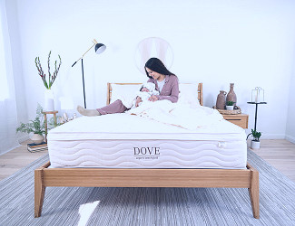 Dove Certified Organic Hybrid Latex Mattress - Nest Bedding – Nest Bedding®